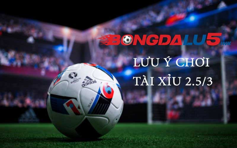 Các lưu ý tham gia chơi tài xỉu 2.5/3