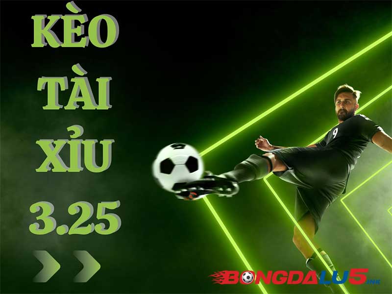 Bí quyết soi kèo tài xỉu 3.25